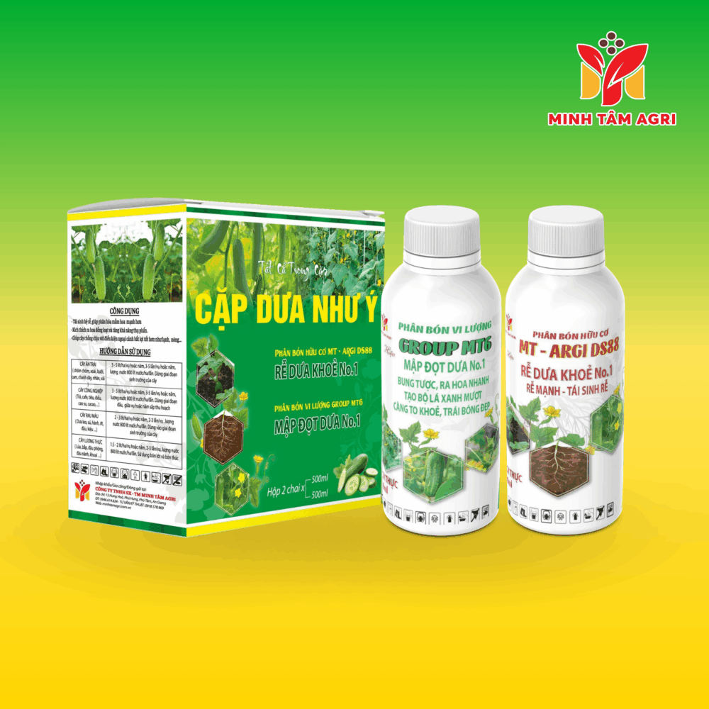 PBVL GROUP MT6 - MẬP ĐỌT DƯA No.1  & PBHC MTAG DS88 - RỄ DƯA KHỎE No.1