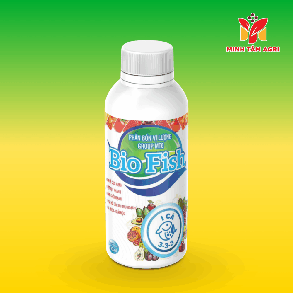 PBVL GROUP MT6 - BIO FISH