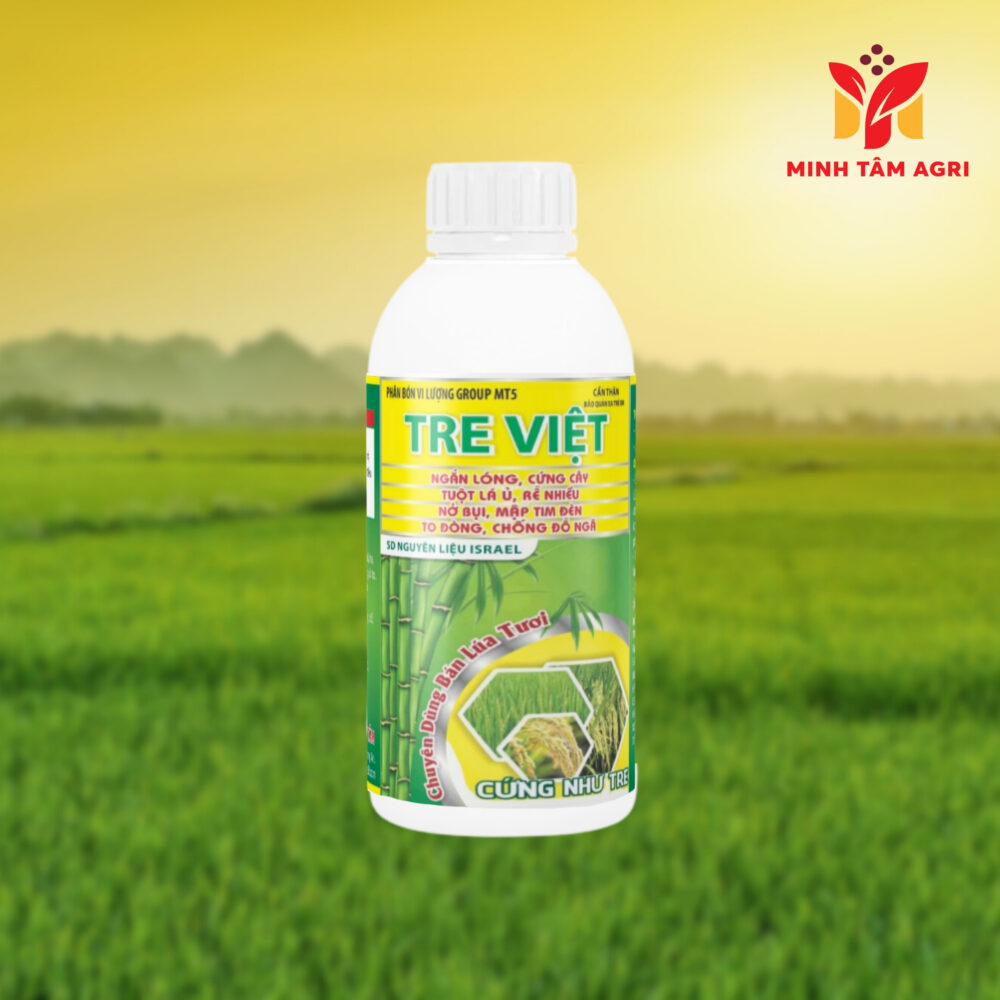 PHÂN BÓN VI LƯỢNG GROUP MT5 TRE VIỆT