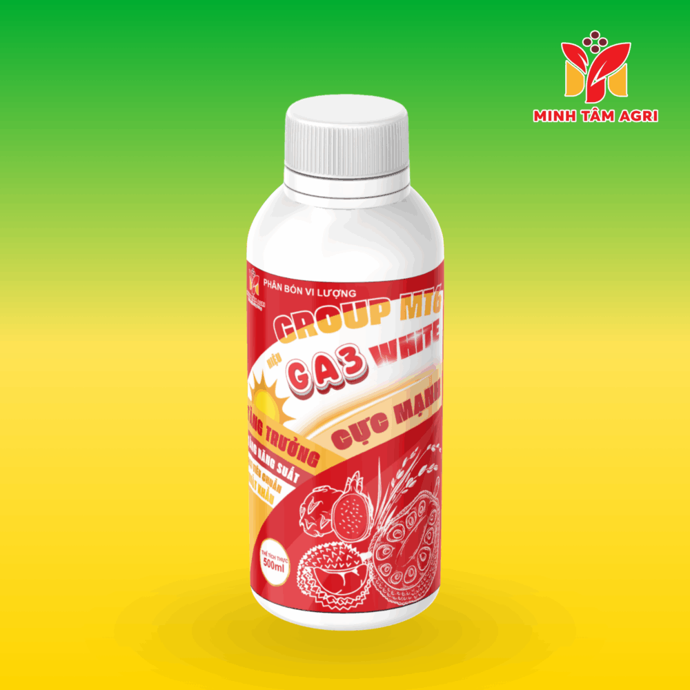 PBVL GROUP MT6 - GA3 WHITE