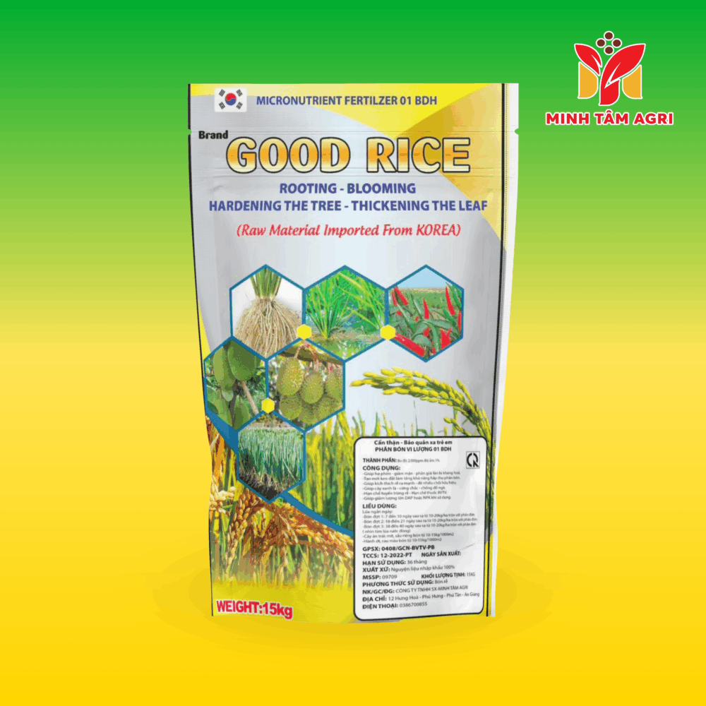 PBVL 01 BDH - GOOD RICE