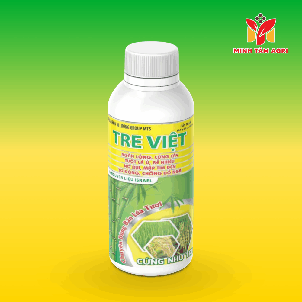 PBVL GROUP MT5 - TRE VIỆT