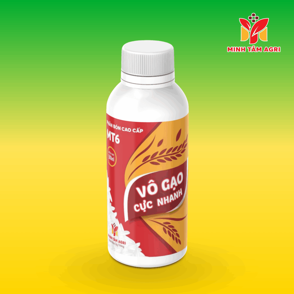 PBVL GROUP MT6 - VÔ GẠO CỰC NHANH