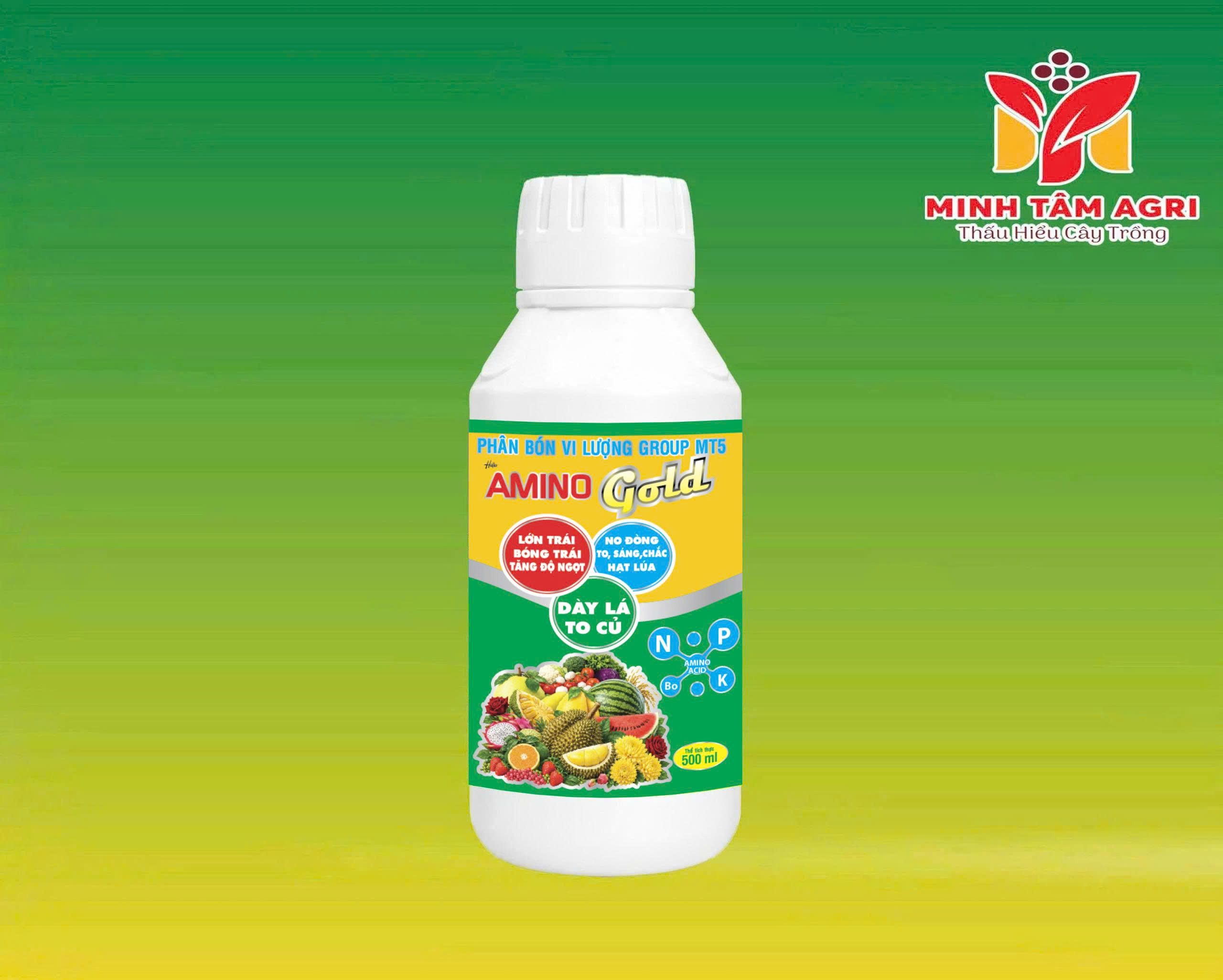 PBVL GROUP MT5 - AMINO GOLD