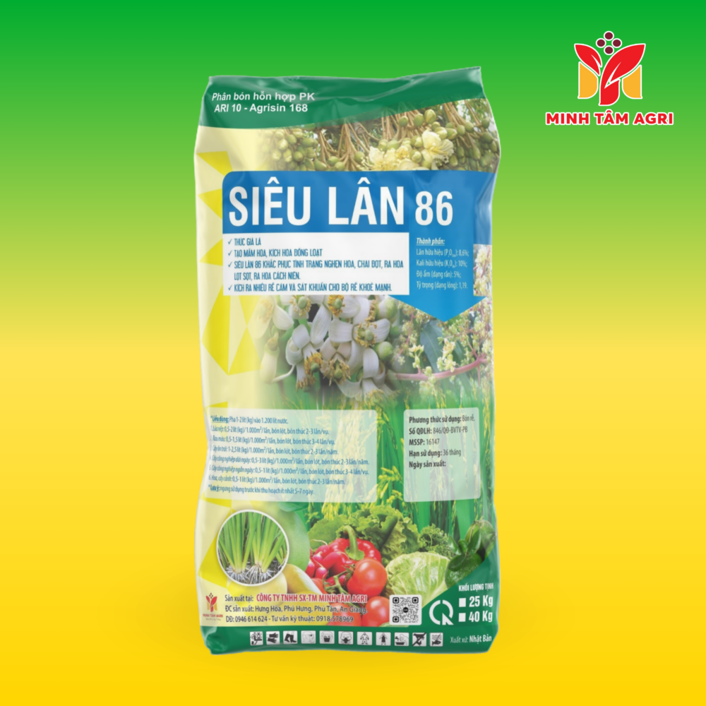 PBHH PK ARI 10 - AGRISIN 168 SIÊU LÂN 86