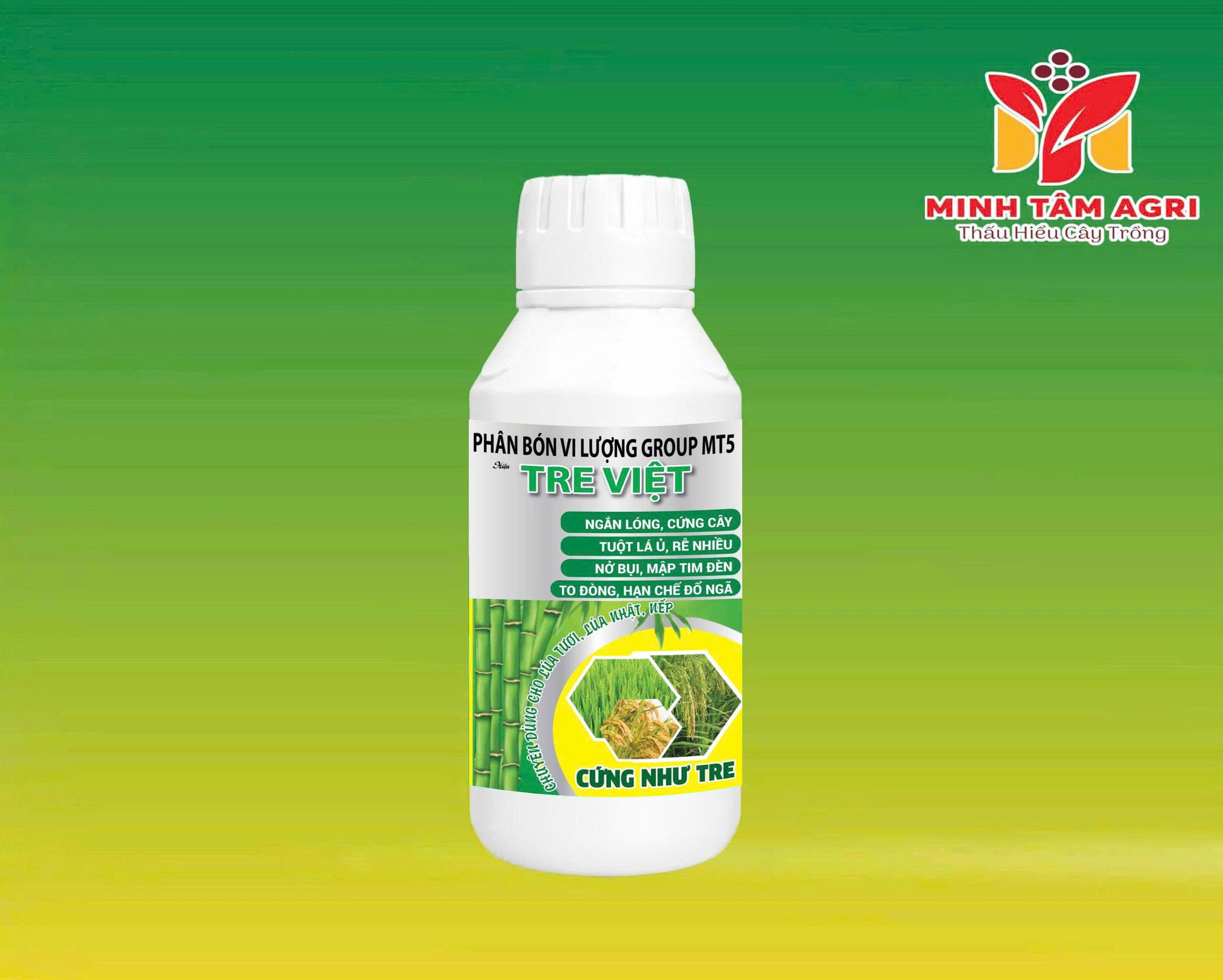 PBVL GROUP MT5 - TRE VIỆT
