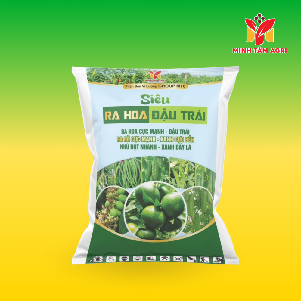 PBVL GROUP MT6  SIÊU RA HOA ĐẬU TRÁI