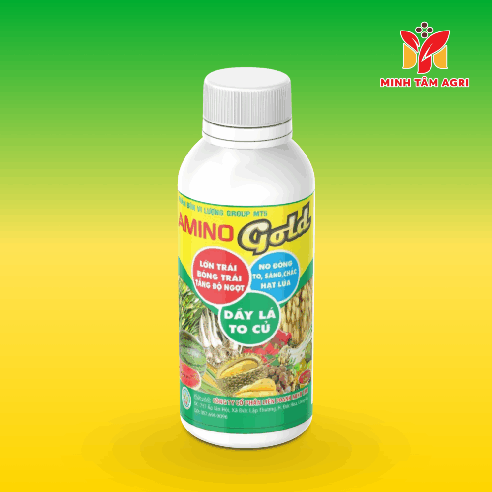 PBVL GROUP MT5 - AMINO GOLD