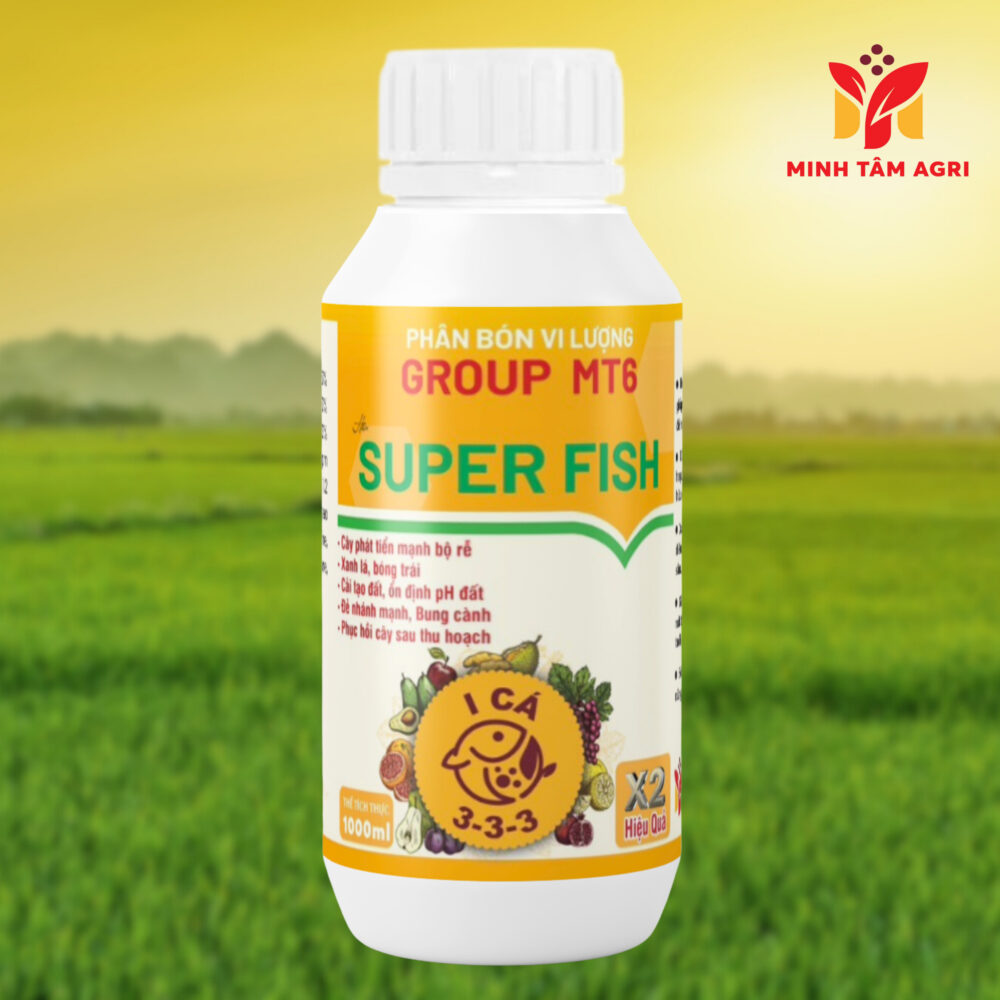 PHÂN BÓN VI LƯỢNG GROUP MT6 SUPER FISH I CÁ 3-3-3