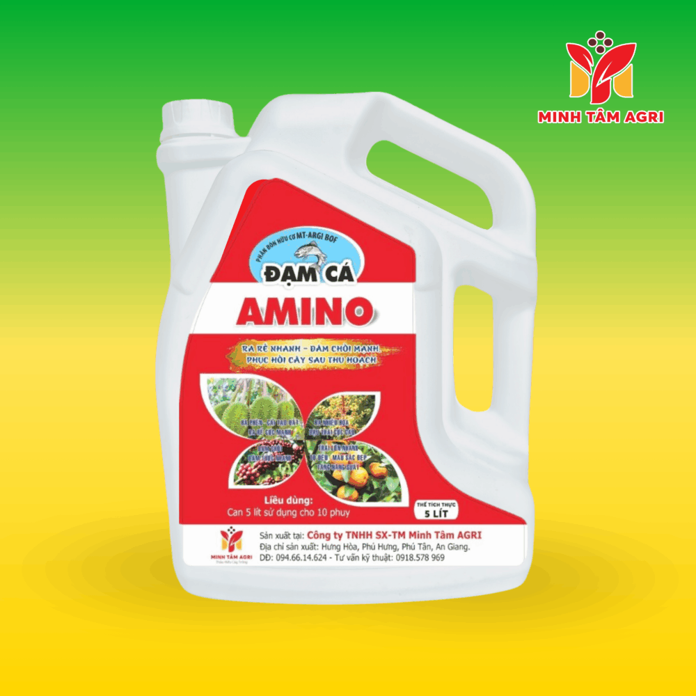 PBHC MTAG BOF - ĐẠM CÁ AMINO
