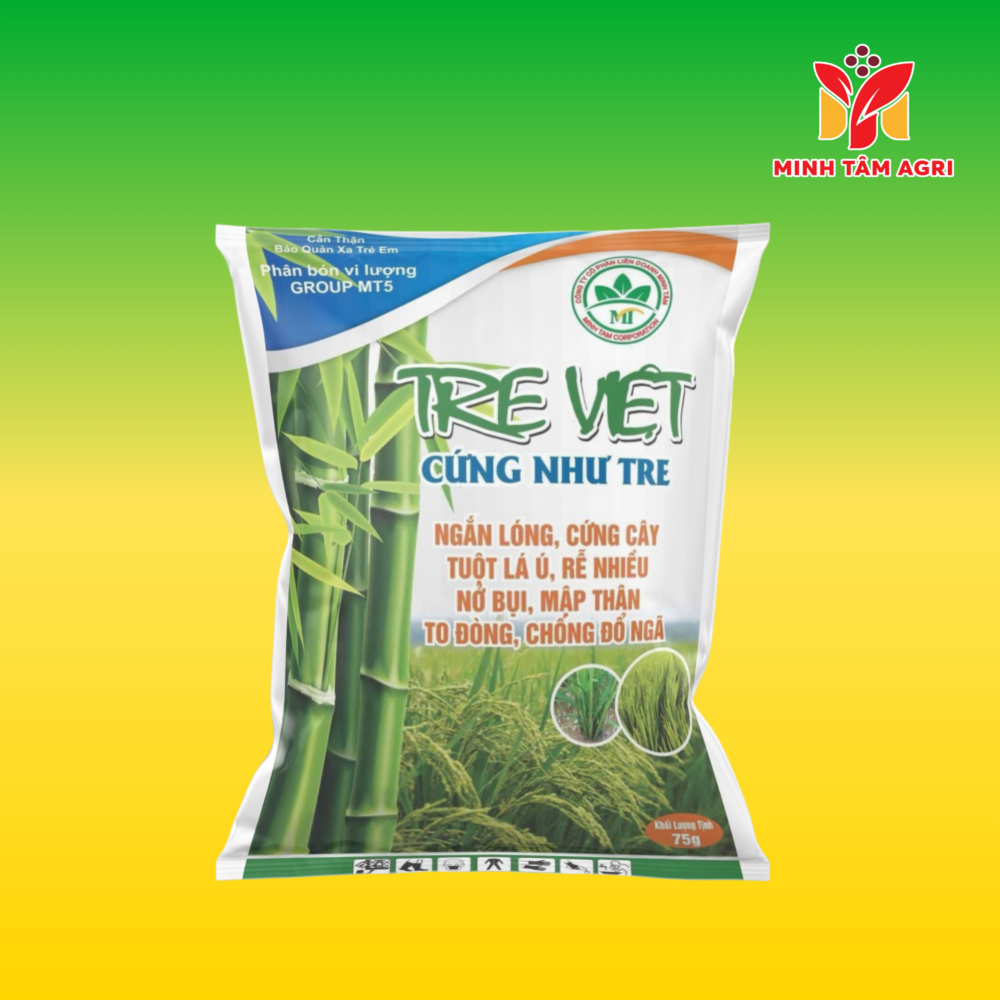 PBVL GROUP MT5 TRE VIỆT