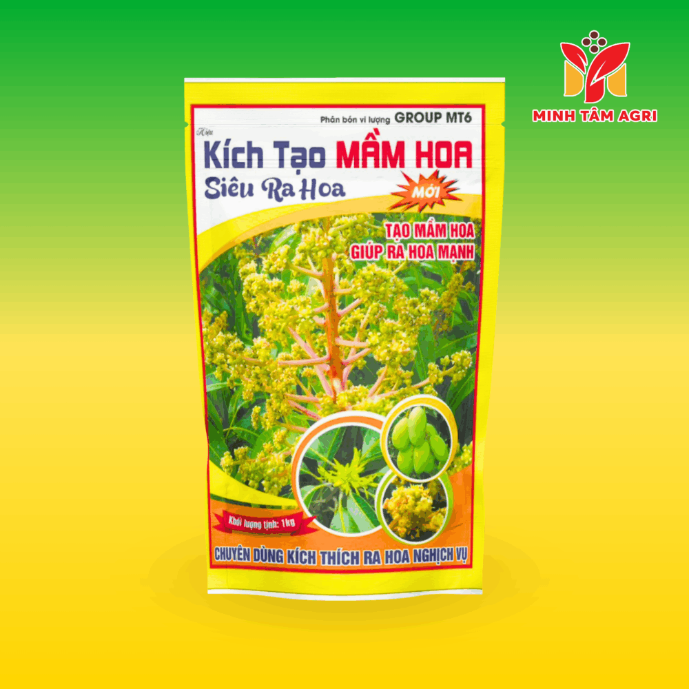 PBVL GROUP MT6 - KÍCH TẠO MẦM  HOA SIÊU RA HOA