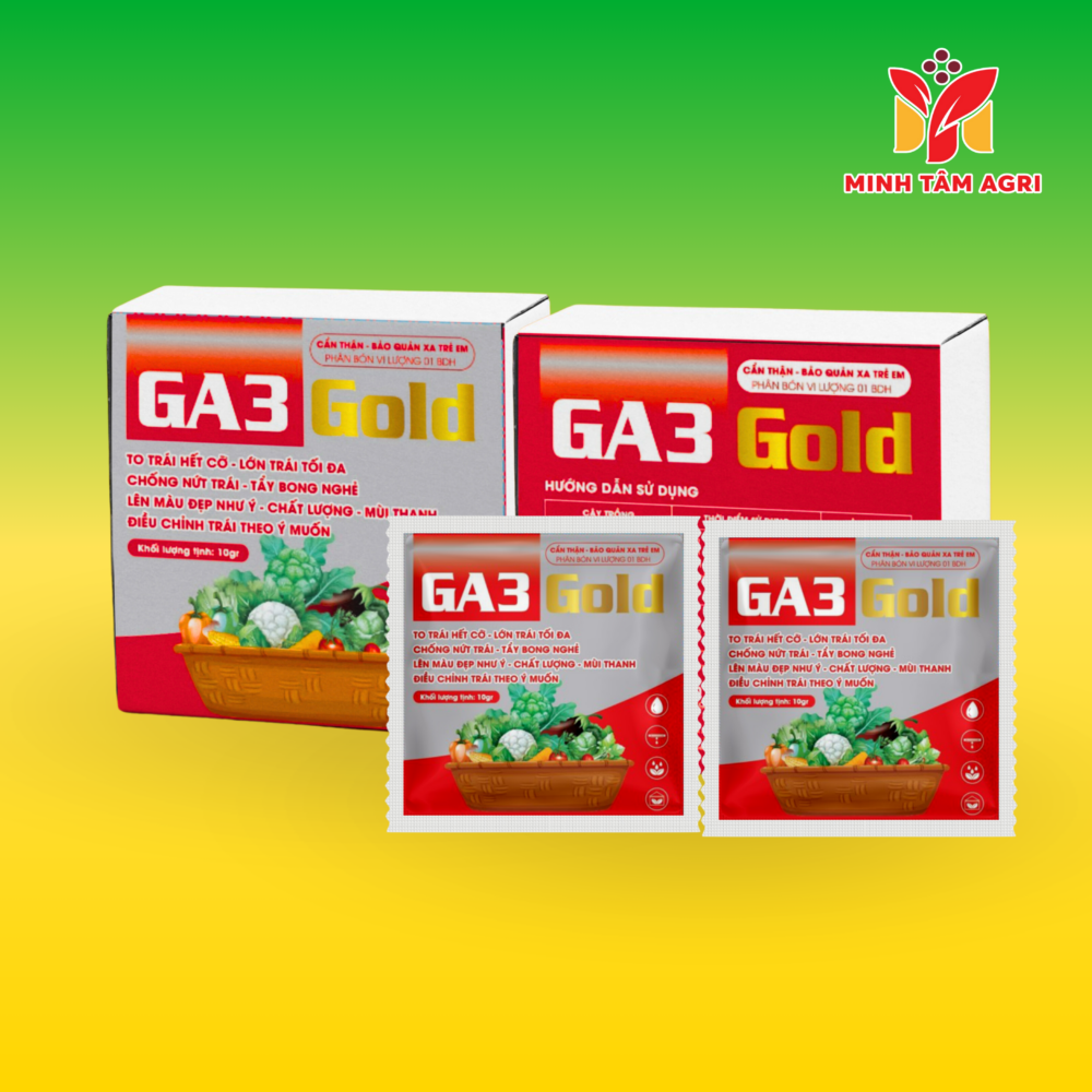 PBVL 01 BDH - GA3 GOLD