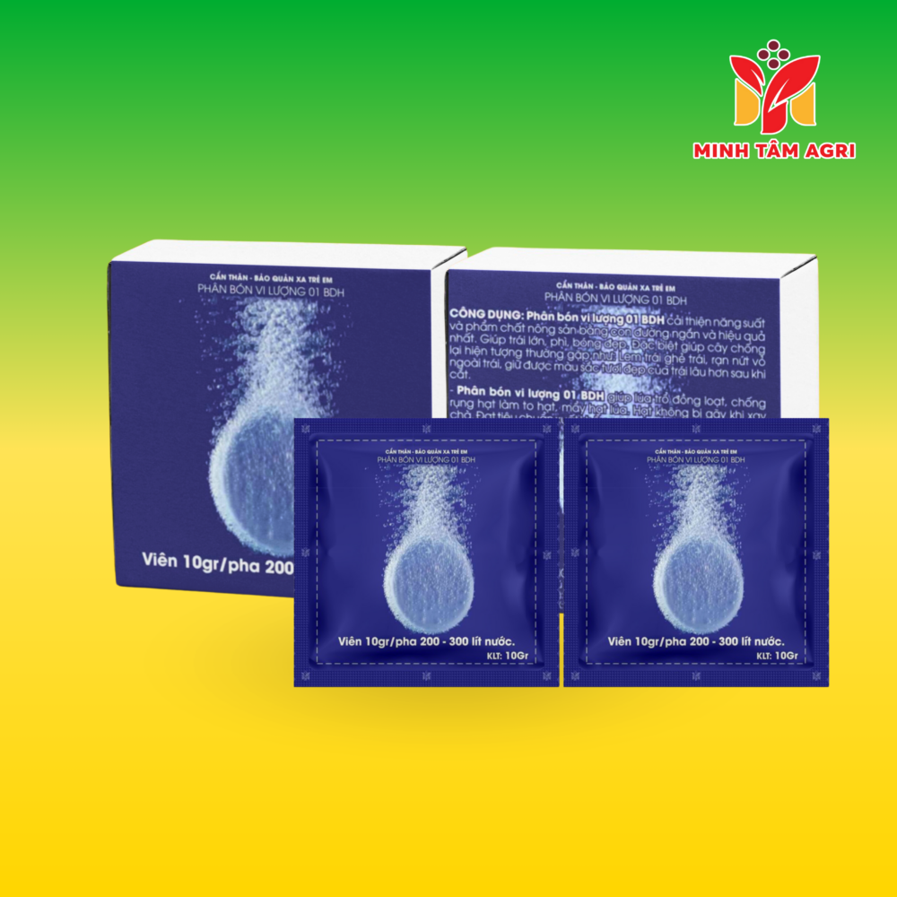 PBVL 01 BDH - VIÊN SỦI XANH