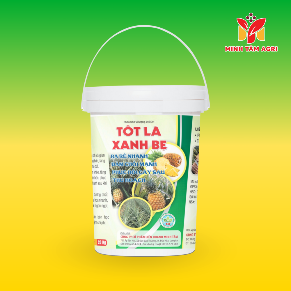 PBVL 01 BDH - TỐT LÁ XANH BẸ
