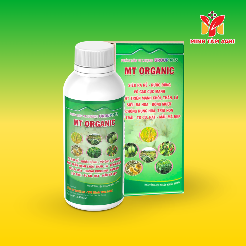 PBVL GROUP MT6- MT ORGANIC