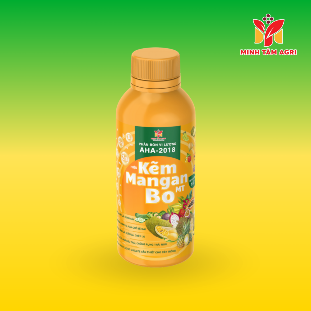 PBVL AHA - 2018 - KẼM - MANGAN - BO MT
