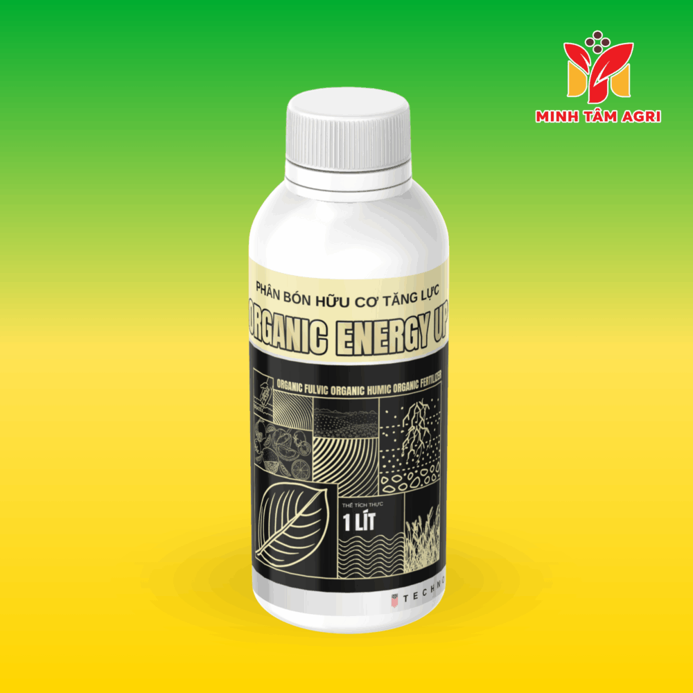 PBHC TĂNG LỰC - ORGANIC ENERGY UP