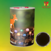 PBHC MT-ARGI BOF